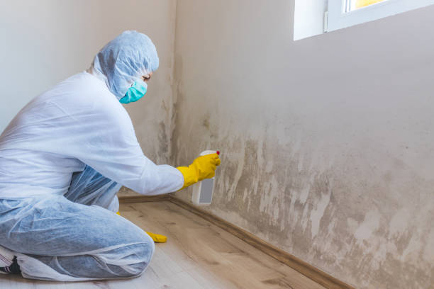 Licensed Mold Inspection service in Mahwah, NJ - WQB Mold Removal