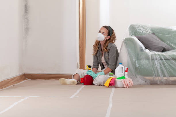 Reliable Mold Inspection contractor in Mahwah, NJ by WQB Mold Removal